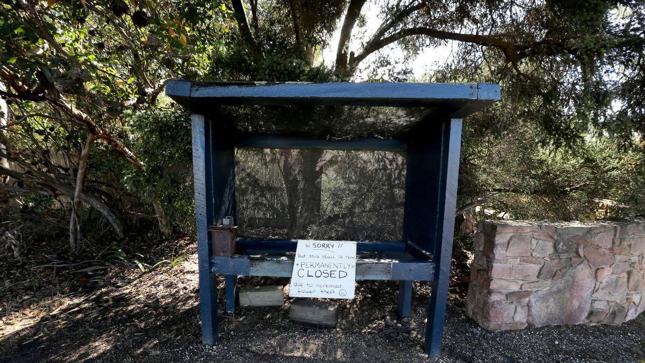 After 35 years Maryann and Brian Kuit are closing their roadside stall at Southbeach Protea Farm because the "honesty system of payment is no longer viable". Picture: Mike Dugdale