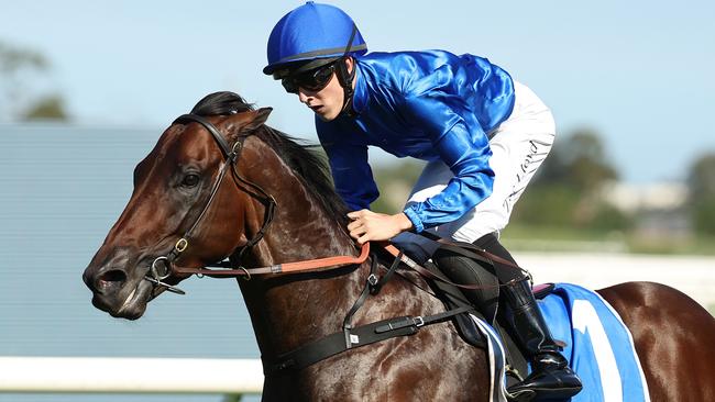 A shot at the Doncaster Mile is still a possibility for star colt Broadsiding. Picture: Getty Images