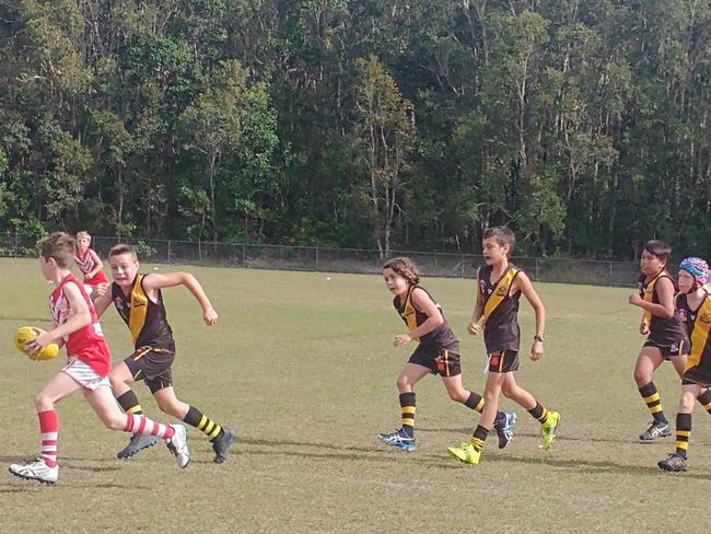 SWAN SCORE AND SOAR: Lismore Swans U11 team played a cohesive game to defeat Tweed Coast Tigers Black in Round 6 at  Barry Shepard Oval. The final score was Tigers defeated 8.11.59 to Swans 11.4.70.