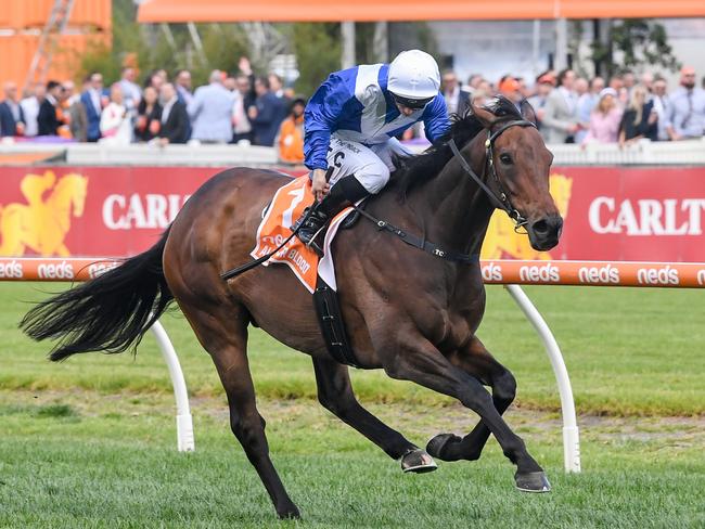 Alligator Blood ridden by Tim Clark wins the Neds Might And Power at Caulfield Racecourse on October 14, 2023 in Caulfield, Australia. (Photo by Reg Ryan/Racing Photos via Getty Images)