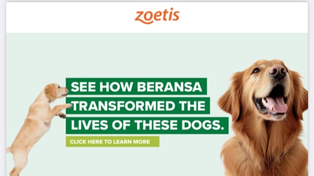 Canine osteoarthritis drug Beransa information on manufacturer Zoetis website.