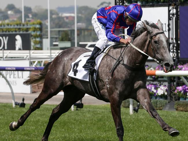 Damien Oliver pilots Anjana to victory in the Incognitus Stakes.