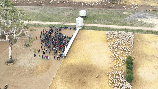 An aerial view of farmers at the field day.