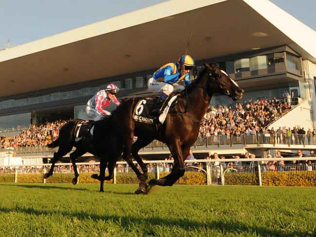 Music Magnate takes out the Doomben 10,000. Picture: Grant Peters, Trackside Photography