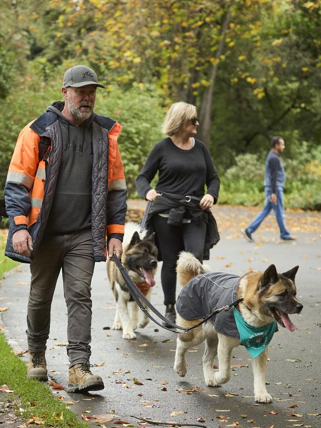 Million Paws Walk at Adelaide Botanic Gardens. Picture: Matt Loxton