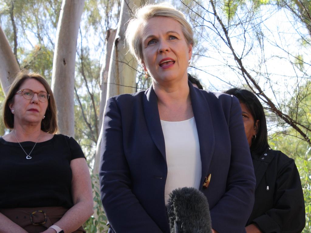 Environment Minister Tanya Plibersek has publicly released a damning five-year scientific assessment of Australia’s ecosystems. Picture: Lee Robinson