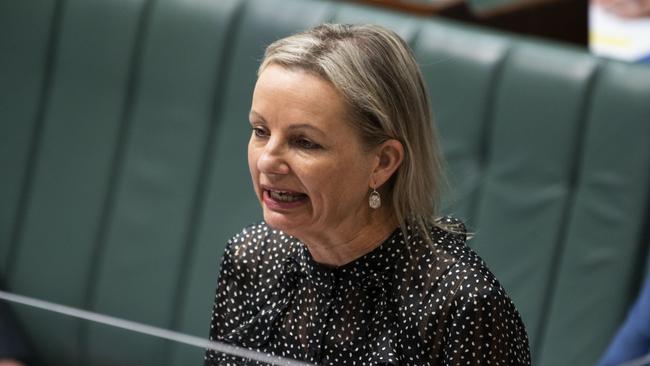 Deputy Liberal Party leader Sussan Ley. Picture: NCA NewsWire/Martin Ollman