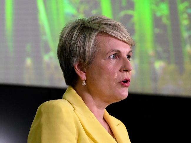 BRISBANE, AUSTRALIA - NewsWire Photos - DECEMBER 8, 2022.Federal Environment Minister Tanya Plibersek speaks at a press conference at QUT in Brisbane. Ms Plibersek has unveiled the government's overhaul of the environment protection act. Picture: Dan Peled