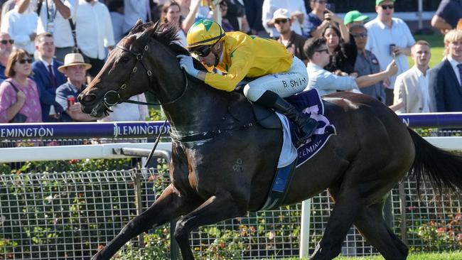 Estriella wins the Sunlight Classic at Flemington in March. Picture: George Sal-Racing Photos