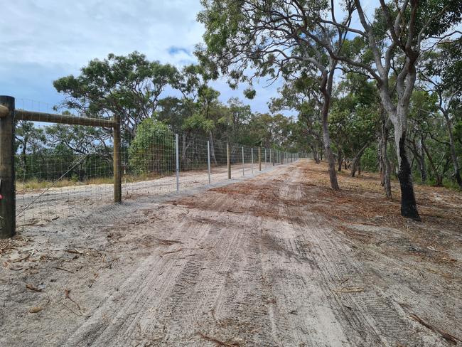 A dingo-proof fence on Fraser Island.