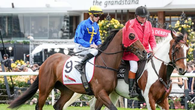 Who Dares will represent the Melbourne Racing Club and Sportsbet in The Meteorite at Cranbourne. Picture: Racing Photos via Getty Images