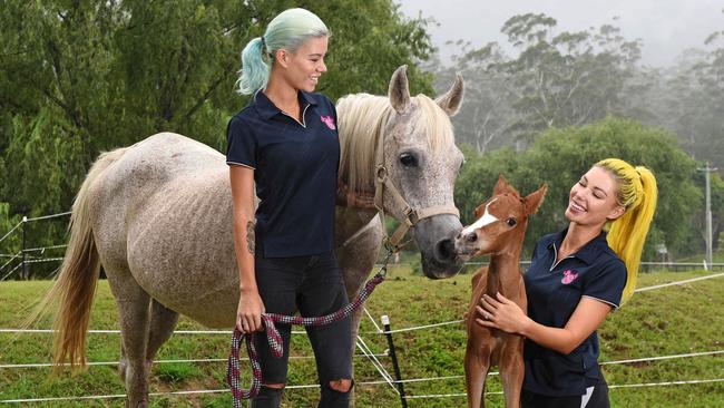 Lola and Princess are both healthy and the three-day-old filly is already running around. Picture: John Gass