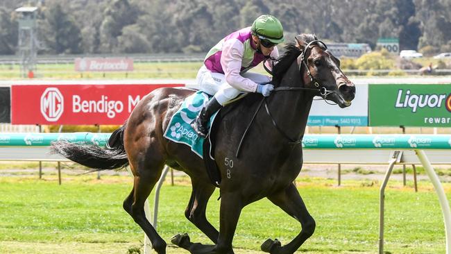 Trainer Gavin Bedggood says smart sprinter Mornington Glory has improved since his first-up run in the Monash Stakes at Caulfield. Picture: Racing Photos via Getty Images