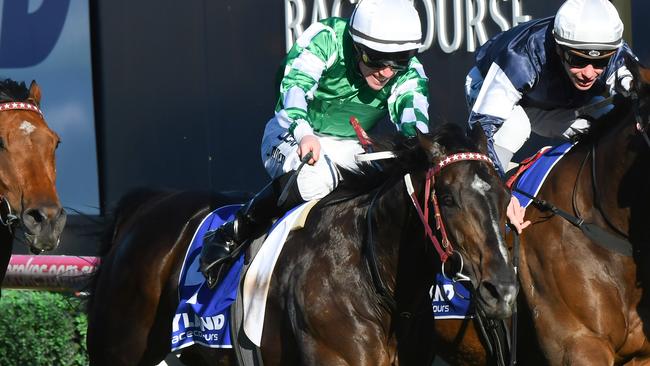 Tosen Basil is among the horses allegedly at the centre of animal cruelty charges laid against former Darren Weir. Picture: Getty Images