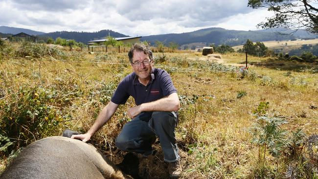 David Rolph, of Deep End Farms, is feeling relieved after recent rain. The horizon behind him was well alight during the peak fire days. Picture: MATT THOMPSON