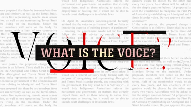 What is the Voice?