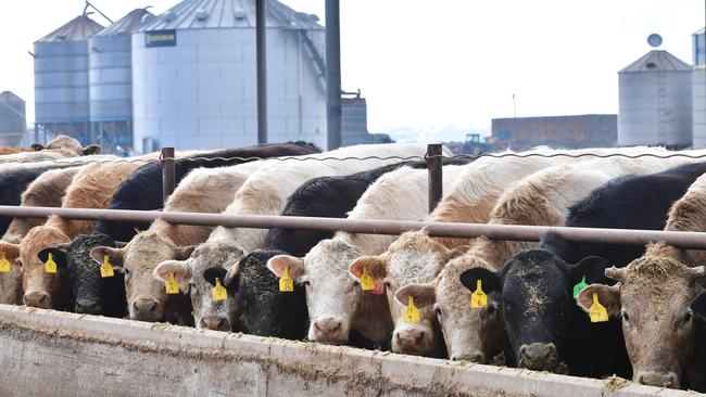 Grain-fed beef exports have just hit their highest monthly level.