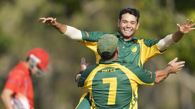 PINT celebrate a wicket against Waratah in the 2015 T20 grand final. Picture: Erlise Derwin.