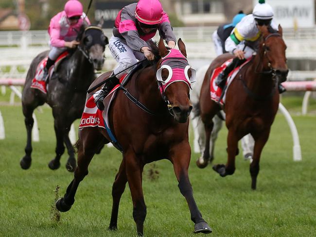 Inn Keeper could provide some real value in the first leg of the quaddie.