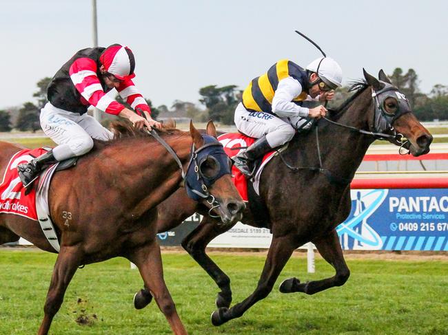 Damien Oliver sticks with Benitoite (rails) after having won on her twice previously.