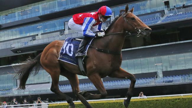 Fox Fighter can continue his good form and record another win at Rosehill. Picture: Getty Images