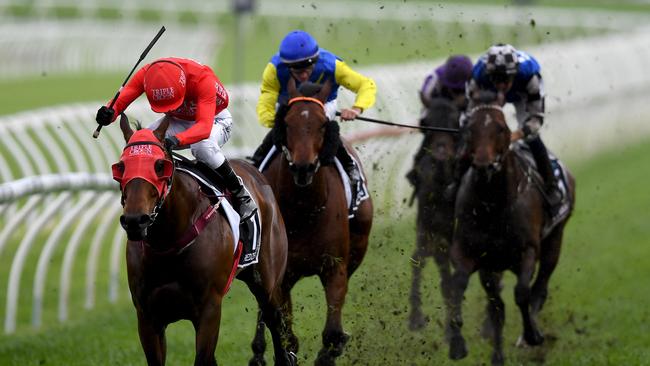 Redzel is one of several stars trialling on Monday. (AAP Image/Dan Himbrechts) 