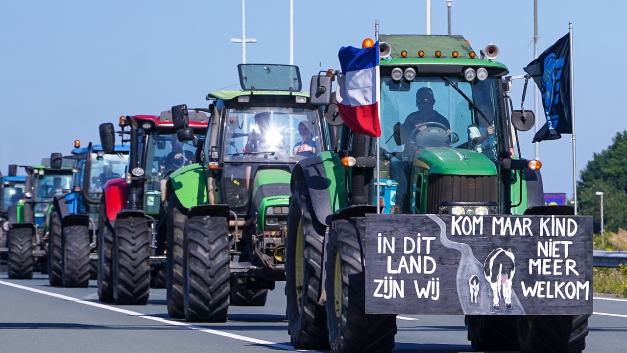 Dutch farmers form tractor blockade in ‘massive’ protest over nitrogen ...