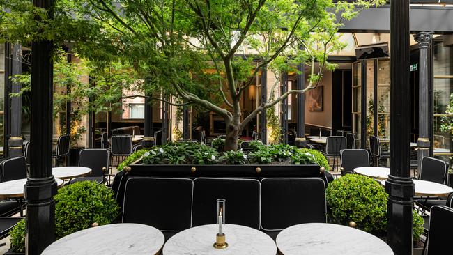 The elm in the centre of the roof top of Maison Batard, Bourke St, Melbourne