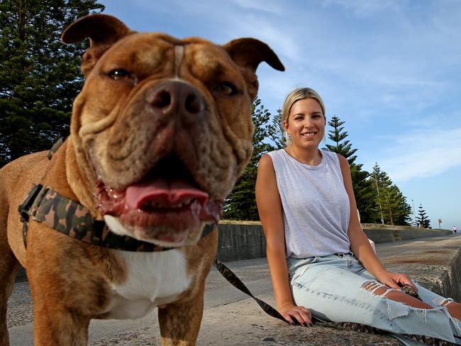 Sydney woman Sandra Maric has started an instagram page dedicated to finding and promoting dog friendly spots to eat, stay in accommodation or allowing your dog off the leash at the beach. Pictured with her Australian Bulldog Carlos at Dolls Point. Picture: Toby Zerna