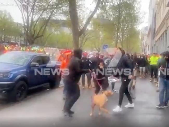 Footage showing a dog being allegedly kicked at the CFMEU protests on September 20. Picture: Seven News via NCA NewsWire