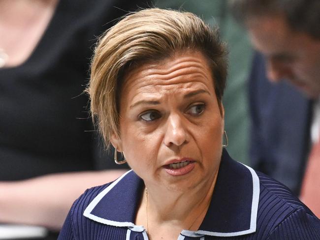 CANBERRA, AUSTRALIA, NewsWire Photos. MARCH 25, 2024: Michelle Rowland during Question Time at Parliament House in Canberra. Picture: NCA NewsWire / Martin Ollman