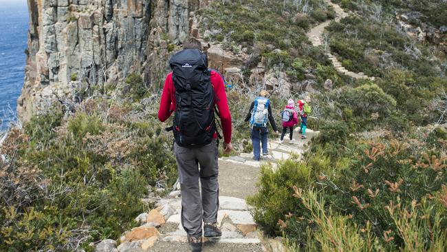 Walkers on the Three Capes Track.