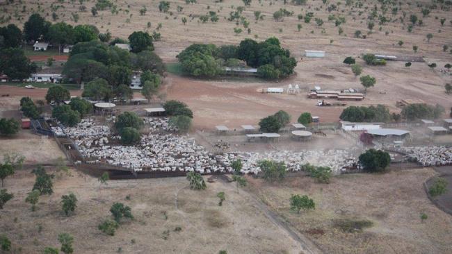 Killarney Station ... 30 horses were shot at the remote station in the Victoria River District last month. Picture: Supplied