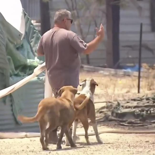 Jason, partner of Tayla McKenzie, surveys the devastation at their property in Tara after the fires. Photo: 7 News