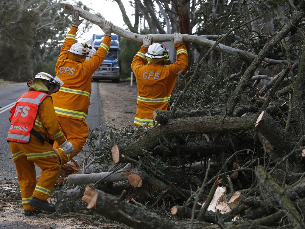 CFS members clean up what is left of a tree that fell on Terlinga Road in Mount Torrens. Picture: Simon Cross