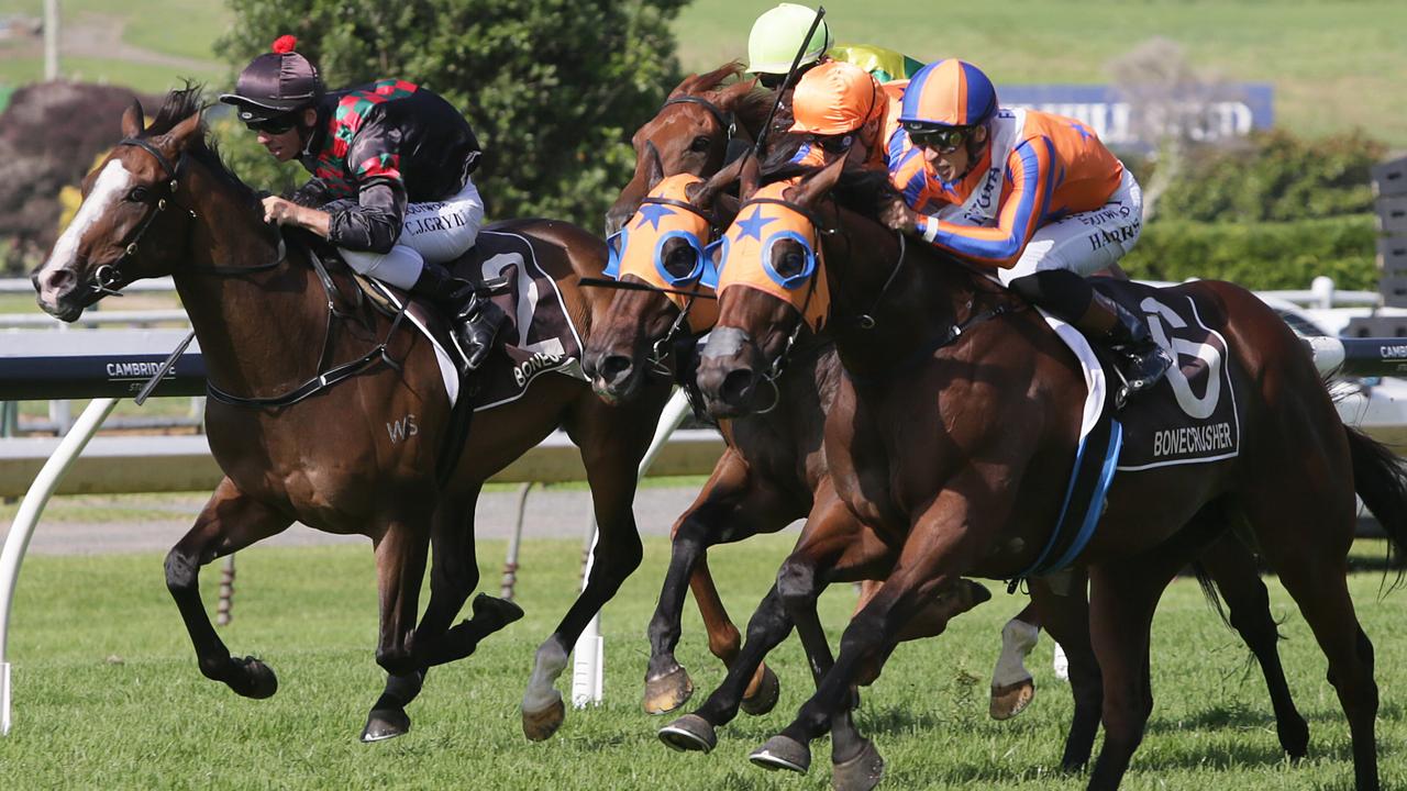 Melody Belle winning the Bonecrusher Stakes at Ellerslie in her final New Zealand start. Photo: Trish Dunell
