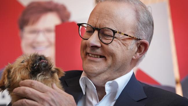 Anthony Albanese holds a member of the public's pet dog on the campaign trail.