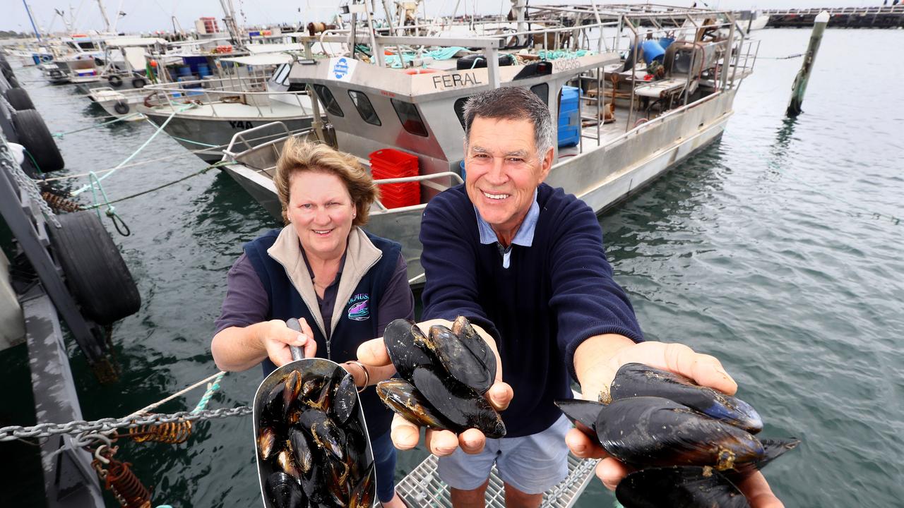 The annual Portarlington Mussel Festival would have been held this Saturday. Jennifer Gallop (Festival Vice-President) and Richard Underwood (Festival President) with some mussels at the Portarlington harbour. Picture: Glenn Ferguson