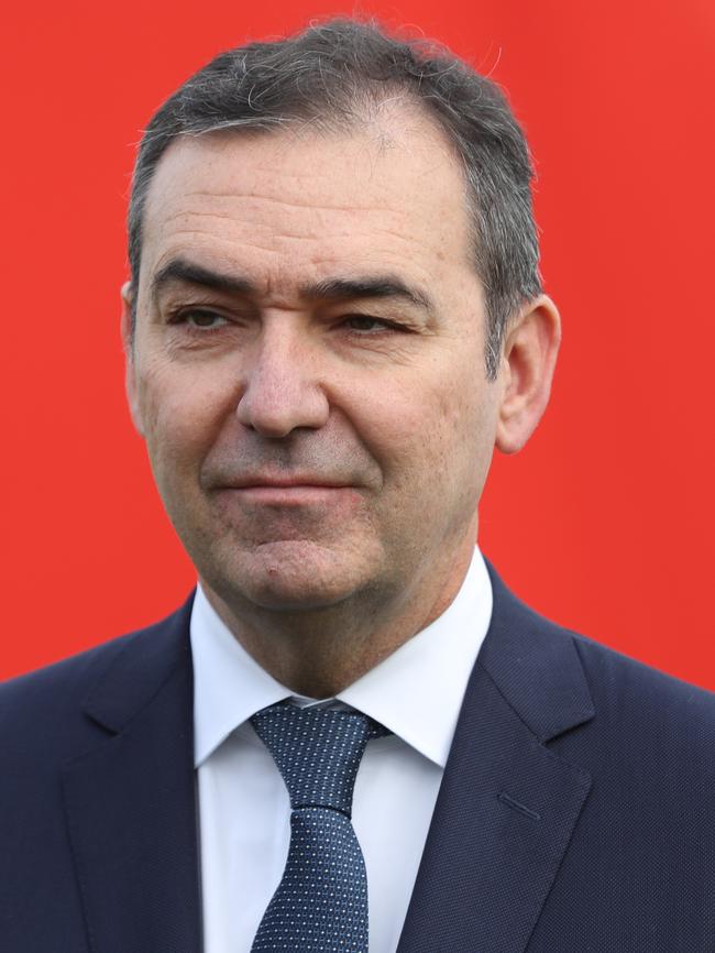 SA Premier Steven Marshall. Picture: Tait Schmaal