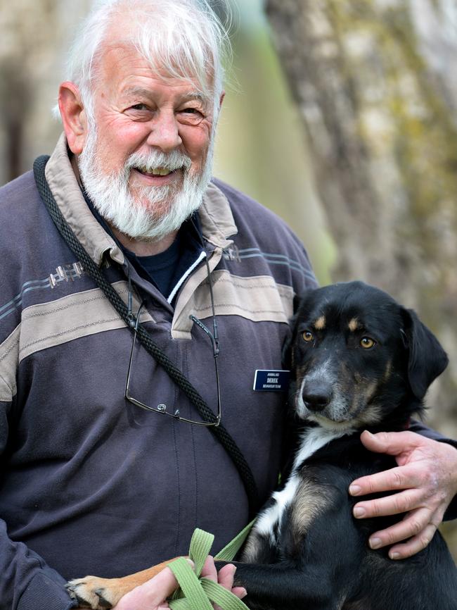 Derek Thurgood, part of the behavioural ream at Animal Aid, with Petey the Kelpie Cross. Picture: Steve Tanner