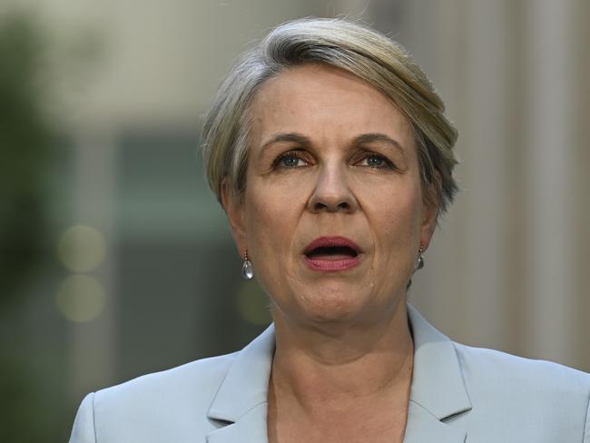 Tanya Plibersek. Picture: NCA NewsWire / Martin Ollman