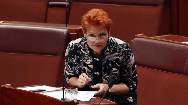 Senator Pauline Hanson in the Senate itoday. Picture: Gary Ramage