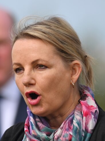 Deputy Liberal leader Sussan Ley took Mr Albanese to task on those comments, saying "prime ministers don't have days off". Picture: NCA NewsWire / Steven Saphore