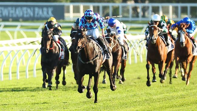 Pride of Jenni ran her rivals ragged. Picture: Jeremy Ng/Getty Images