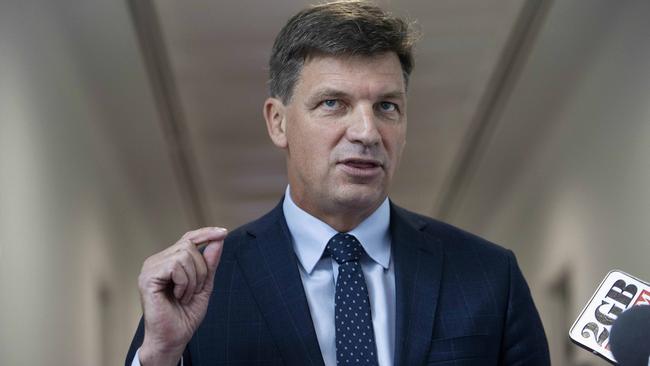 Energy Minister Angus Taylor. Picture: Gary Ramage