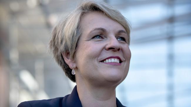 Federal Water Minister Tanya Plibersek will launch a tender on July 15 to buy 70GL off southern Murray Darling Basin irrigators.