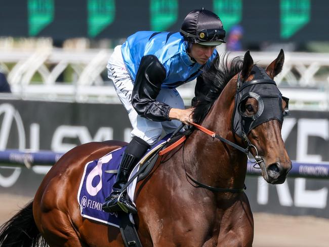 Rogue Rocker on the way to the barriers prior to the running of the Melbourne Cup Carnival Country Final at Flemington Racecourse on November 09, 2023 in Flemington, Australia. (Photo by George Sal/Racing Photos)