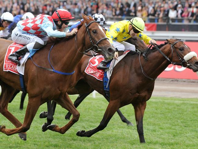 Red Cadeaux (left) loses the 2011 Melbourne Cup to Dunaden, with the official result taking an eternity because it was so tight.