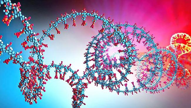 An artist’s impression of circular RNA.