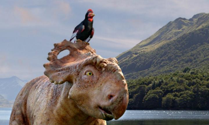 bloeden Kapper donor 10 dinosaur movies that won't give your kids nightmares -Kidspot